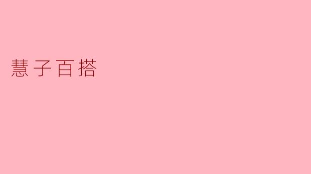 慧子百搭