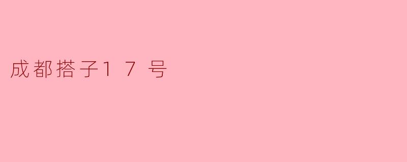 成都搭子17号