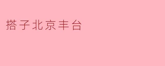 搭子北京丰台