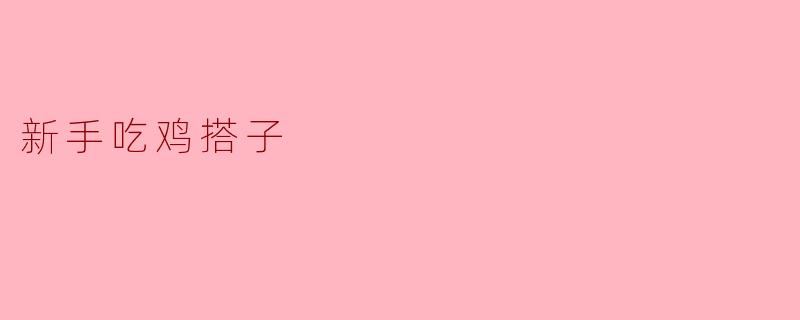 新手吃鸡搭子