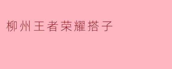 柳州王者荣耀搭子