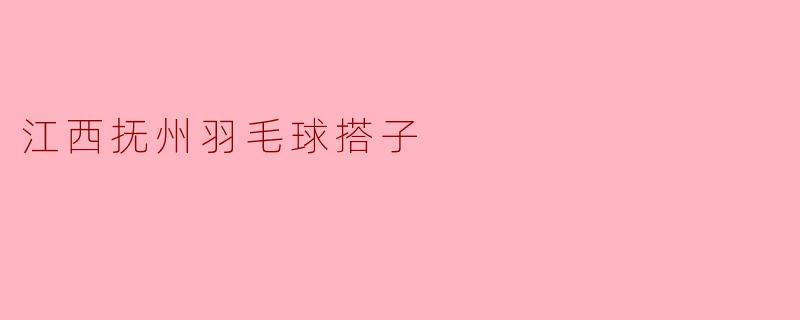 江西抚州羽毛球搭子