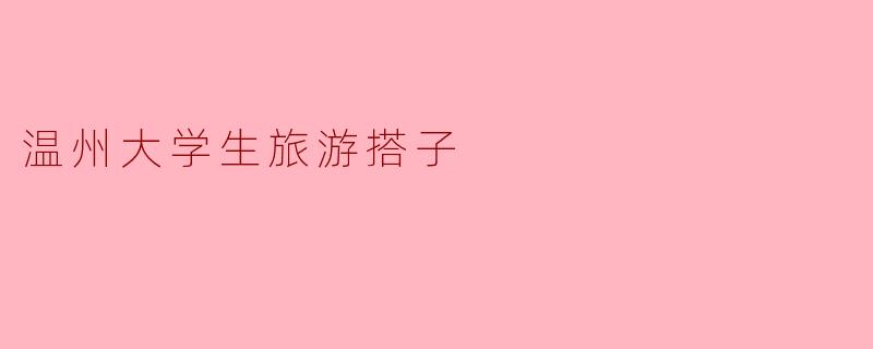 温州大学生旅游搭子的主要作用是什么？**