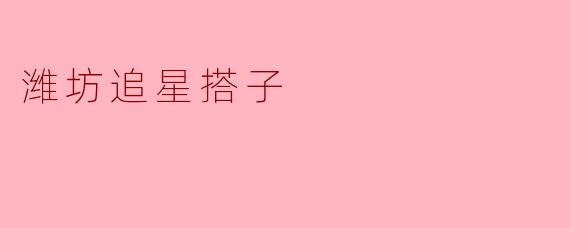 潍坊追星搭子