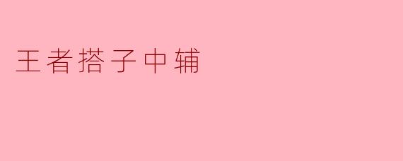 王者搭子中辅