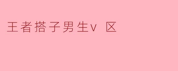 探索“王者搭子男生V区”的游戏文化