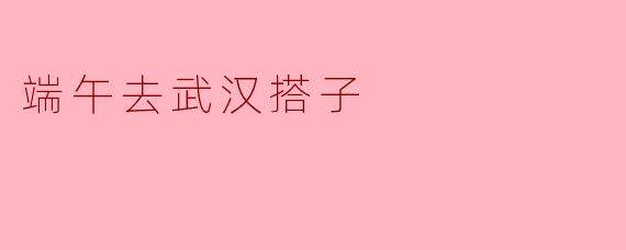 端午去武汉搭子