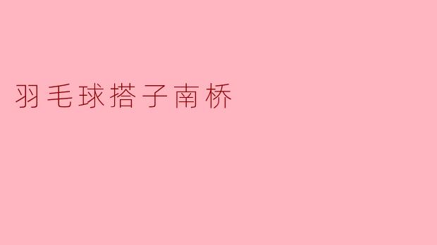 羽毛球搭子南桥