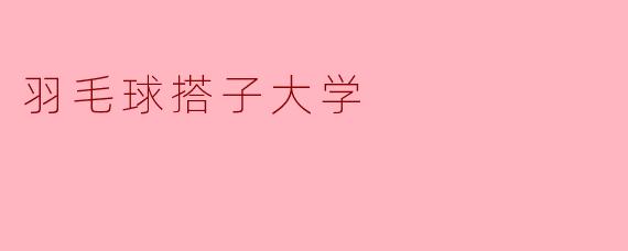 羽毛球搭子大学