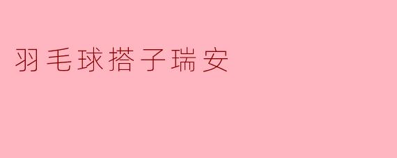### 在羽毛球场上遇见瑞安——搭子使我更快乐