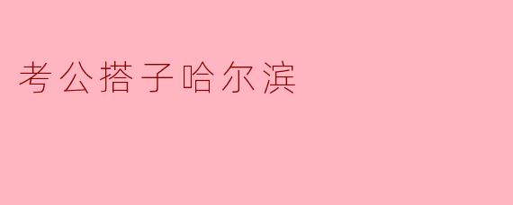 ### 考公搭子:哈尔滨的奋斗与梦想