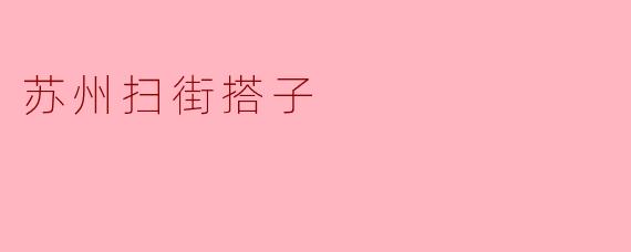 苏州扫街搭子