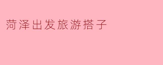 ** 你好，有没有人想和我一起从菏泽出发旅游，拼车或组团的？**