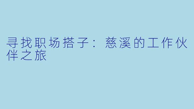 寻找职场搭子：慈溪的工作伙伴之旅