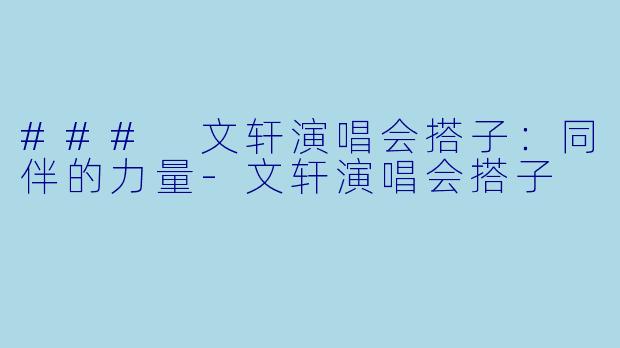 ### 文轩演唱会搭子：同伴的力量-文轩演唱会搭子