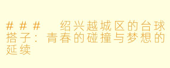 ### 绍兴越城区的台球搭子：青春的碰撞与梦想的延续