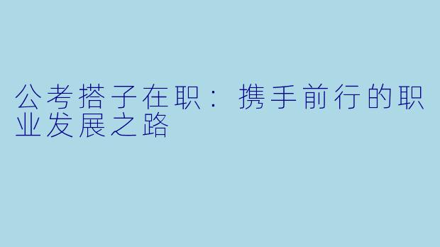 公考搭子在职：携手前行的职业发展之路