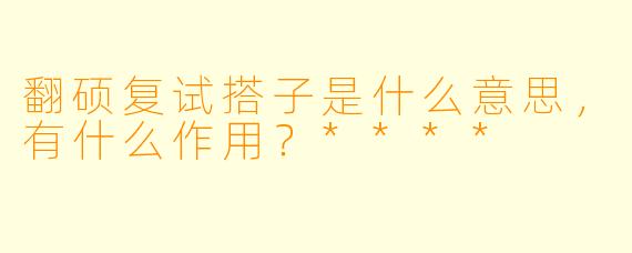 翻硕复试搭子是什么意思，有什么作用？****