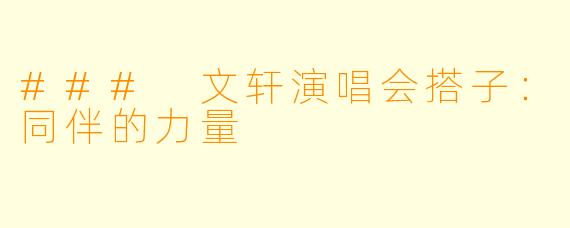 ### 文轩演唱会搭子：同伴的力量