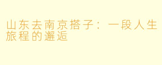山东去南京搭子：一段人生旅程的邂逅