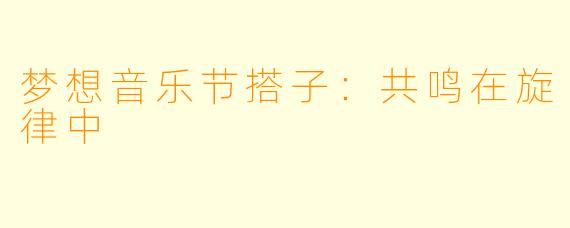 梦想音乐节搭子：共鸣在旋律中