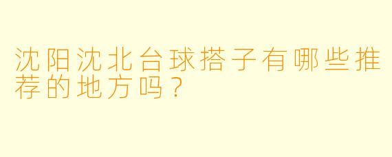 沈阳沈北台球搭子有哪些推荐的地方吗？