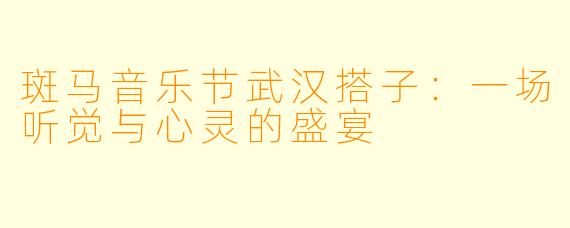 斑马音乐节武汉搭子：一场听觉与心灵的盛宴