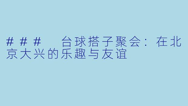 ### 台球搭子聚会：在北京大兴的乐趣与友谊