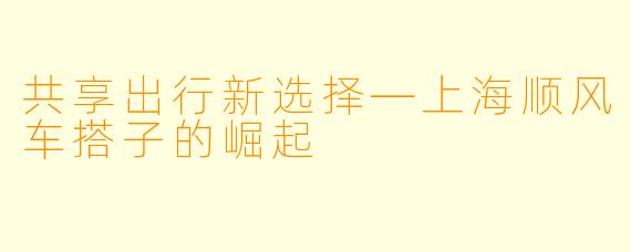 共享出行新选择—上海顺风车搭子的崛起