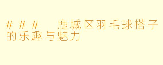 ### 鹿城区羽毛球搭子的乐趣与魅力