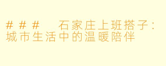 ### 石家庄上班搭子：城市生活中的温暖陪伴