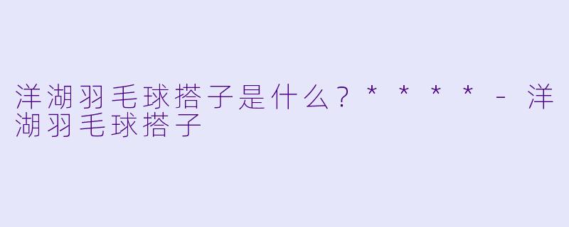 洋湖羽毛球搭子是什么？****