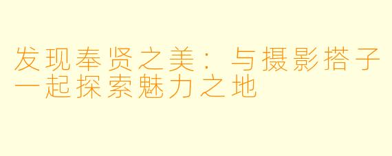 发现奉贤之美：与摄影搭子一起探索魅力之地