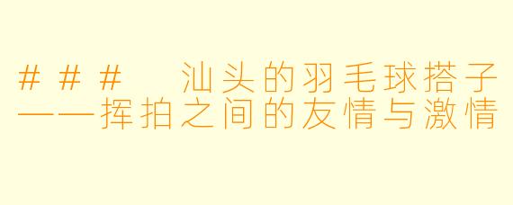 ### 汕头的羽毛球搭子——挥拍之间的友情与激情
