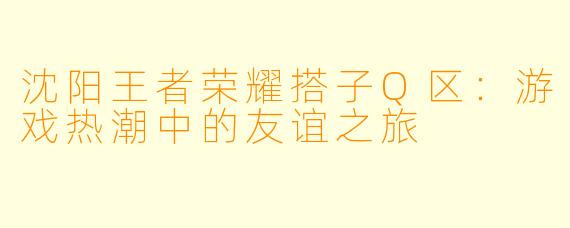 沈阳王者荣耀搭子Q区:游戏热潮中的友谊之旅