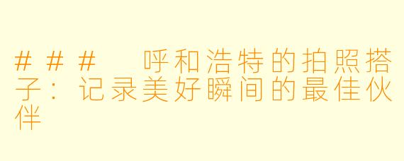 ### 呼和浩特的拍照搭子：记录美好瞬间的最佳伙伴