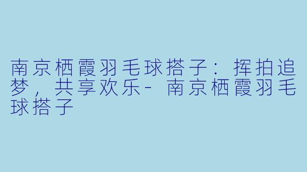 南京栖霞羽毛球搭子：挥拍追梦，共享欢乐-南京栖霞羽毛球搭子