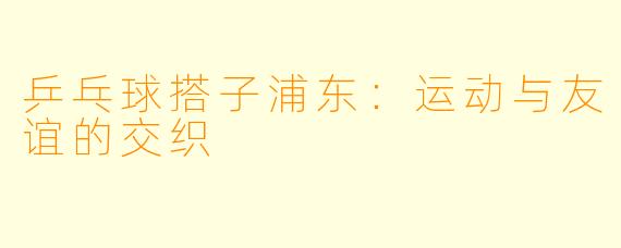 乒乓球搭子浦东:运动与友谊的交织