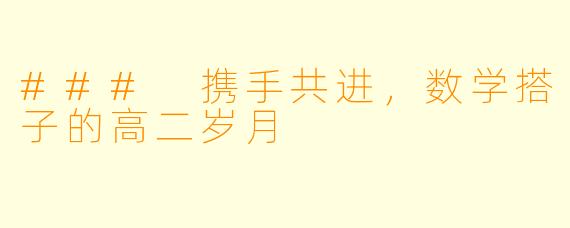 ### 携手共进，数学搭子的高二岁月
