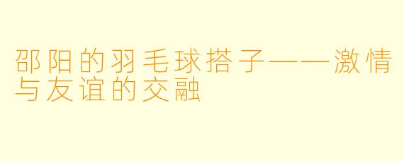 邵阳的羽毛球搭子——激情与友谊的交融