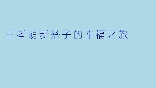 王者萌新搭子的幸福之旅