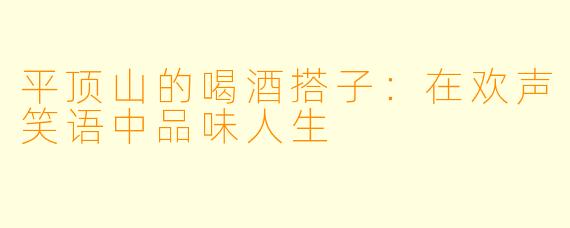 平顶山的喝酒搭子：在欢声笑语中品味人生