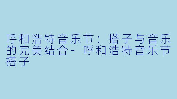 呼和浩特音乐节：搭子与音乐的完美结合-呼和浩特音乐节搭子
