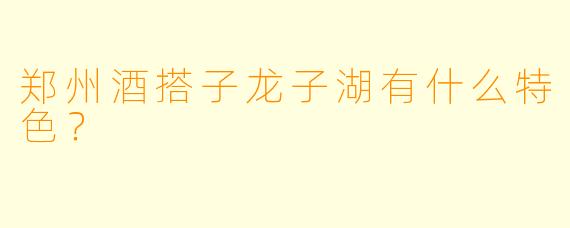 郑州酒搭子龙子湖有什么特色？