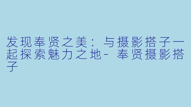 发现奉贤之美：与摄影搭子一起探索魅力之地-奉贤摄影搭子