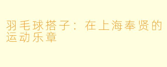 羽毛球搭子：在上海奉贤的运动乐章