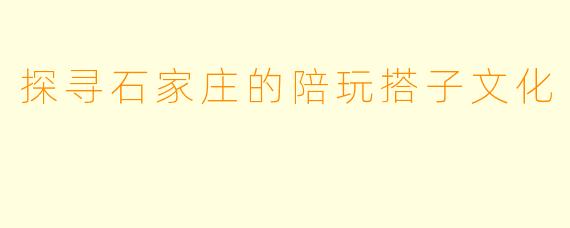 探寻石家庄的陪玩搭子文化