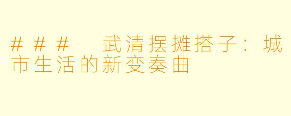### 武清摆摊搭子：城市生活的新变奏曲