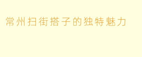 常州扫街搭子的独特魅力