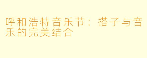 呼和浩特音乐节：搭子与音乐的完美结合